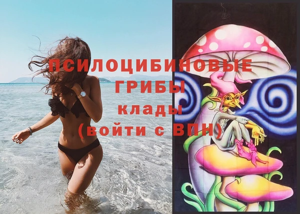 ECSTASY Армянск