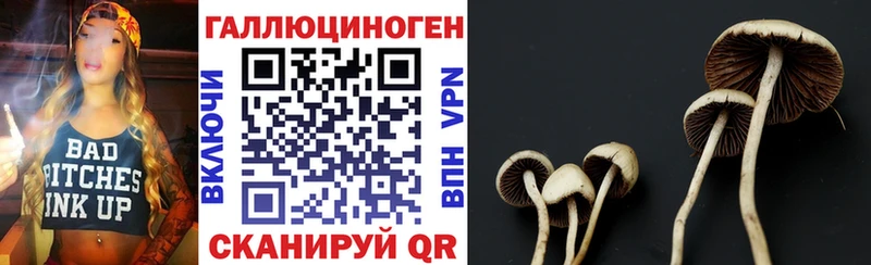 МЕГА маркетплейс  Бежецк  Галлюциногенные грибы Magic Shrooms 